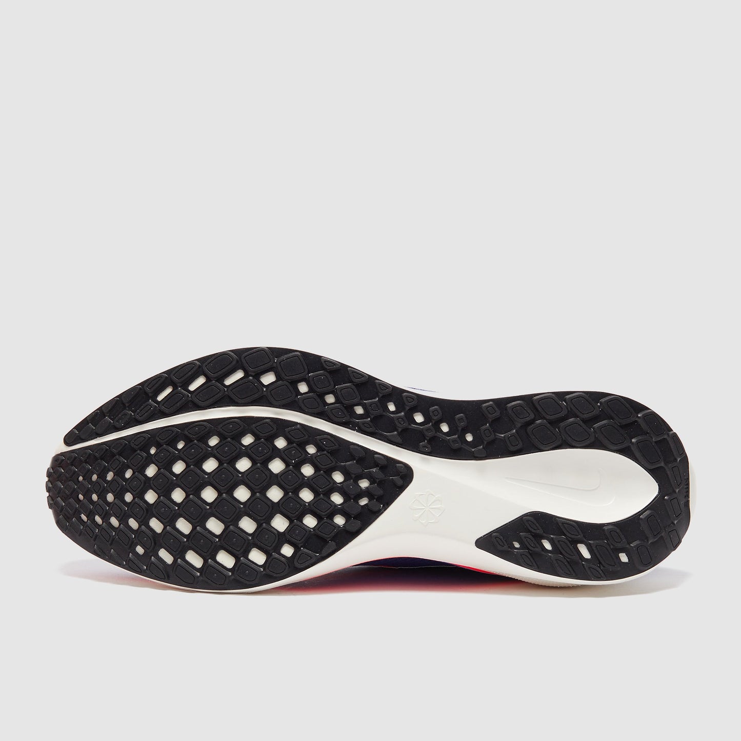 Nike Pegasus Easyon