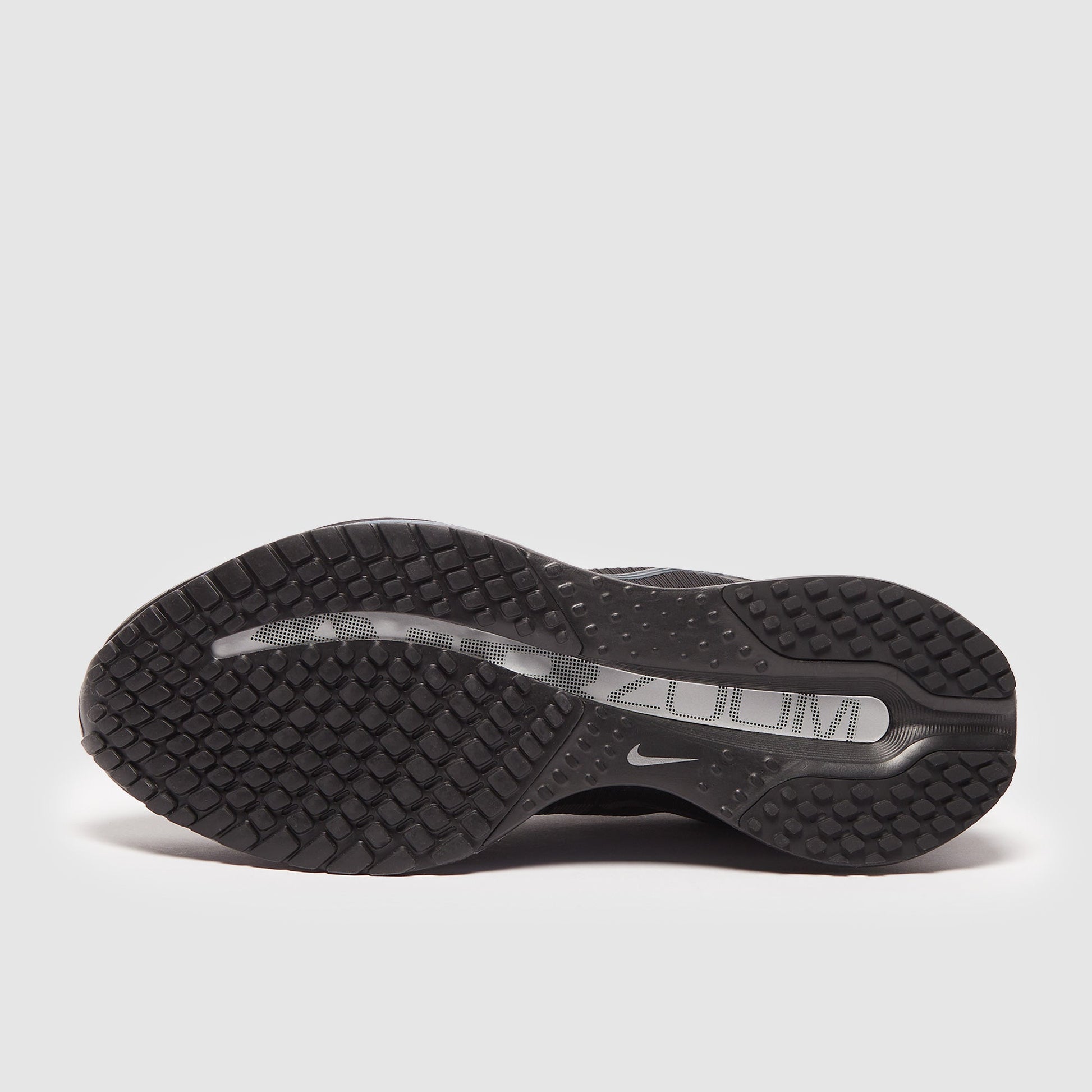 Nike Womens Pegasus Premium