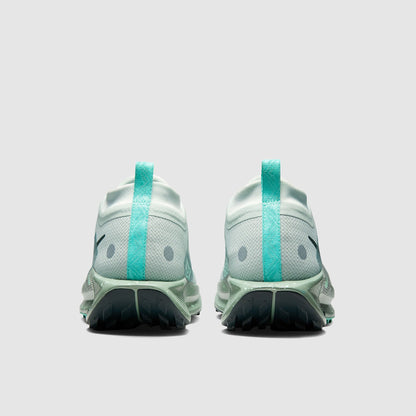 Nike Pegasus Trail 5 GORE-TEX Waterproof