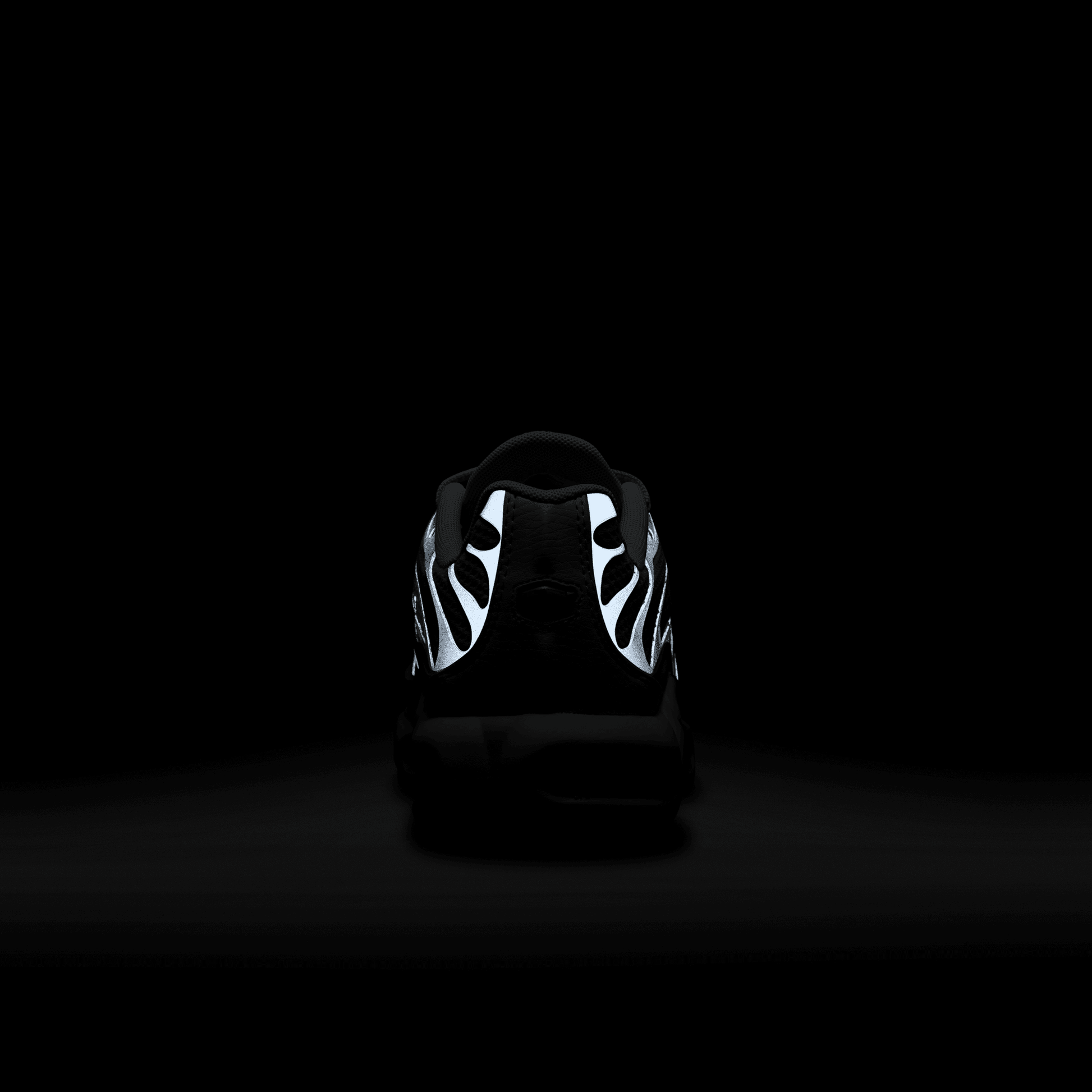 Women's Air Max Plus “Grey Sliver Chrome”
