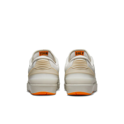 Men's Air Jordan 2 Retro Low SP "Shelflife"