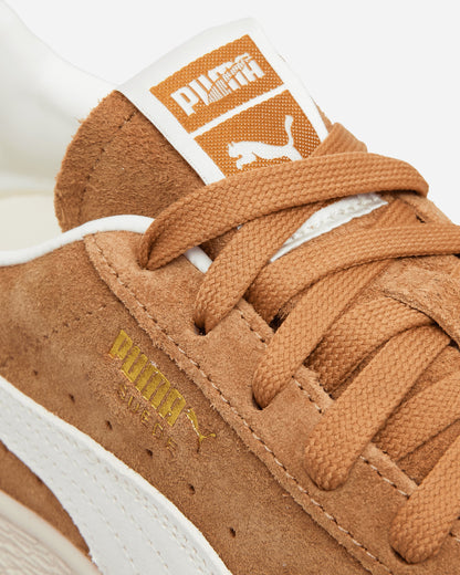 Suede Charles F. Stead V Sneakers Honey Butter / White